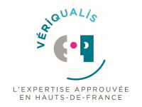 Logo Veriqualis